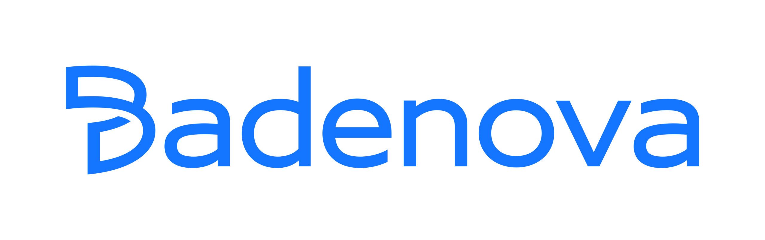 Badenova Logo